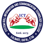 System Bull ICT College